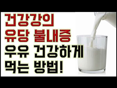 건강강의-유당불내증- 우유 건강하게 먹는 방법