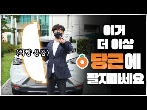자동차 러기지스크린 활용법 대공개 (feat. 넥쏘)