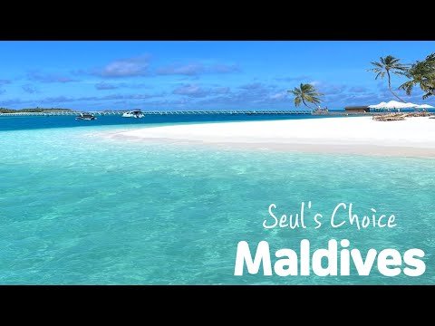 콘래드 몰디브 랑갈리 아일랜드 🌴Vlog