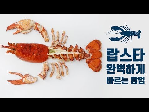 랍스타 완벽하게 바르는 방법 How to Extract Meat from Lobster Perfectly