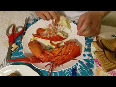 랍스터 먹는 법 how to eat lobster