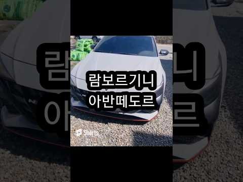 람보마크 잘어울림 #아반떼n | 람보르기니 아반떼도르 | #elantran #람보르기니