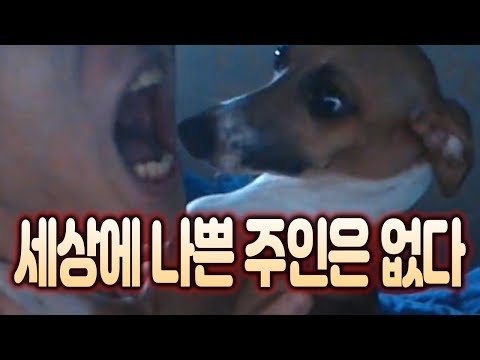 저의 가족을 소개합니다
