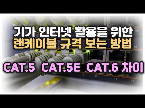 기가 인터넷을 위한 랜케이블 규격 확인하는 방법과 CAT.5 CAT.5E CAT.6 차이점 알아보기