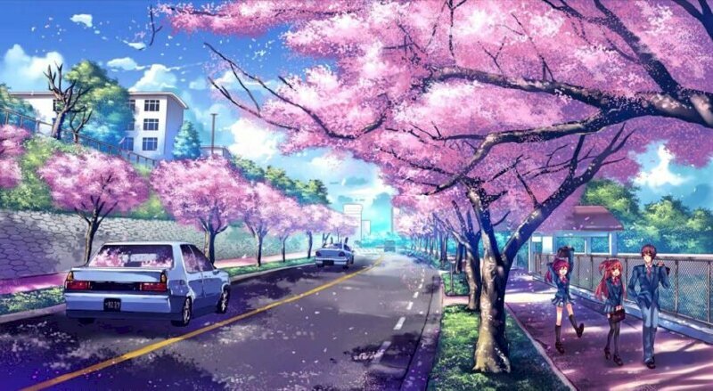 Top 101 Ảnh Bìa Hoa Anh Đào Đẹp Nhất