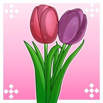 Hình Vẽ Các Loài Hoa Bằng Bút Chì – Phần 7 | Bản Vẽ, Hướng Dẫn Học Vẽ, Hình  Vẽ Thỏ