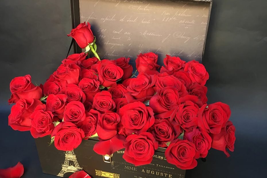 Bộ Hình Ảnh Hoa Hồng Valentine Chất Lượng Cao Đẹp Nhất 2023