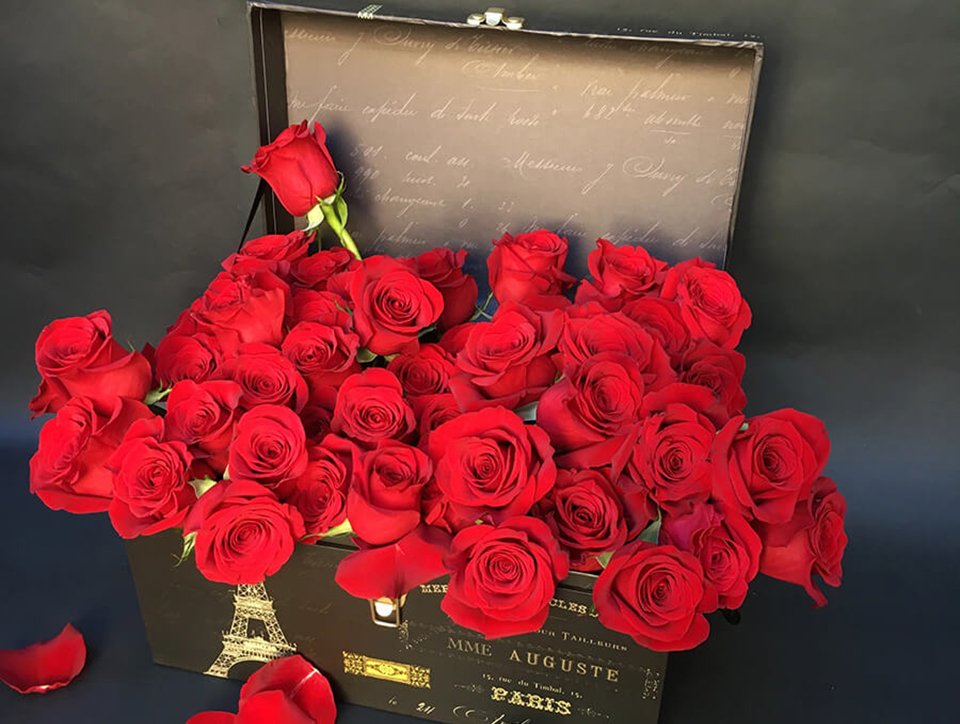 Bộ hình ảnh hoa hồng valentine chất lượng cao đẹp nhất 2023 Bộ Hình Ảnh Hoa Hồng Valentine Chất Lượng Cao Đẹp Nhất 2023