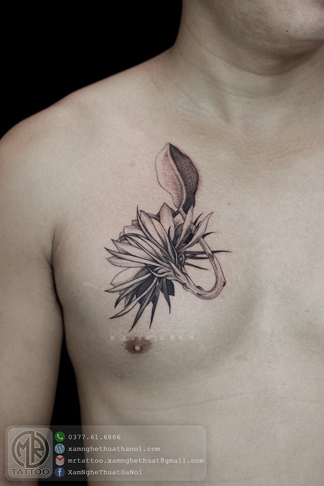 Hình xăm hoa Quỳnh – Mr.TATTOO Hình Xăm Hoa Quỳnh – Mr.Tattoo