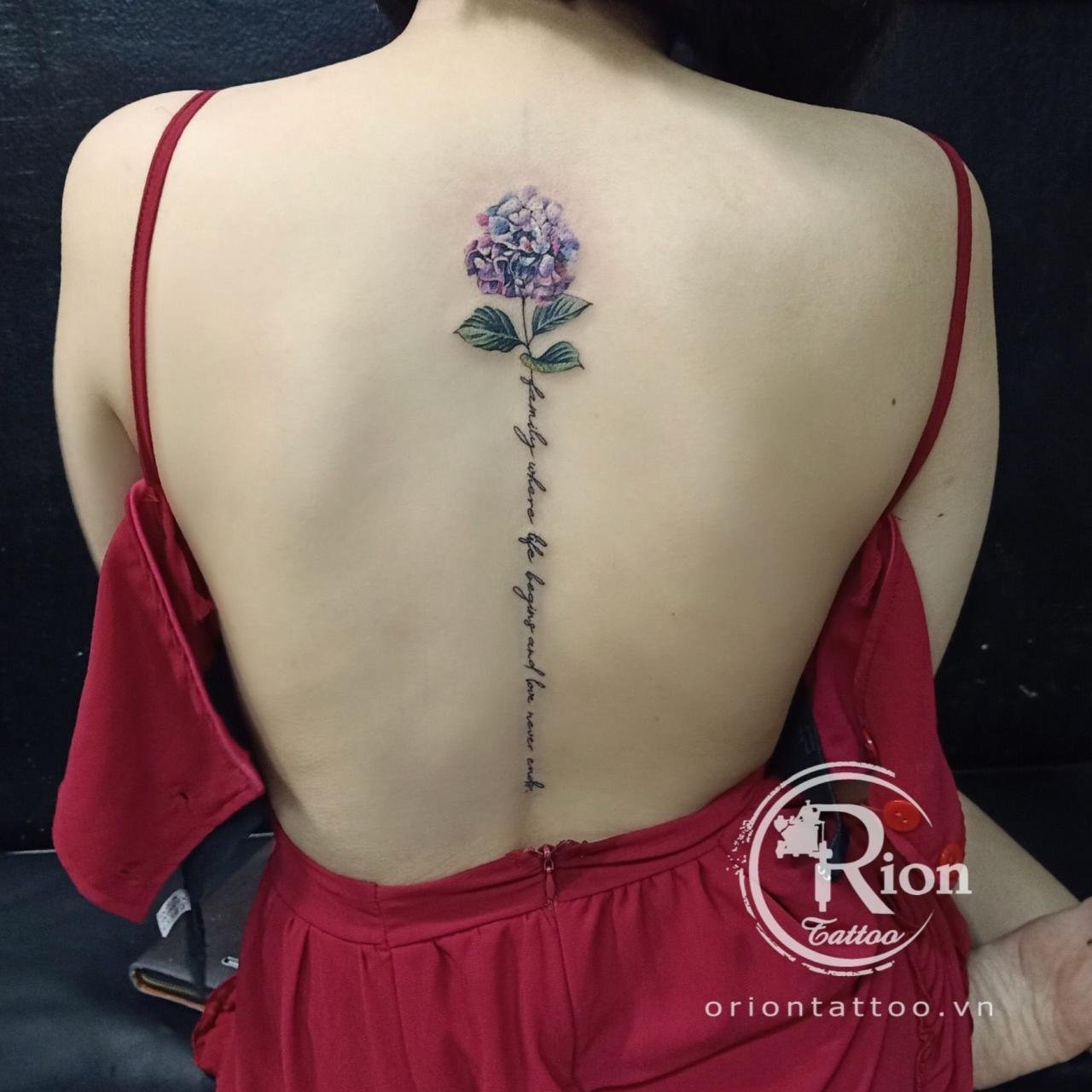 Hình xăm lưng nữ đẹp nhất Hình xăm hoa cẩm tú cầu Oriontattoo.vn | Xăm, Hình xăm, Tattoo studio Hình Xăm Lưng Nữ Đẹp Nhất Hình Xăm Hoa Cẩm Tú Cầu Oriontattoo.Vn | Xăm, Hình Xăm, Tattoo Studio
