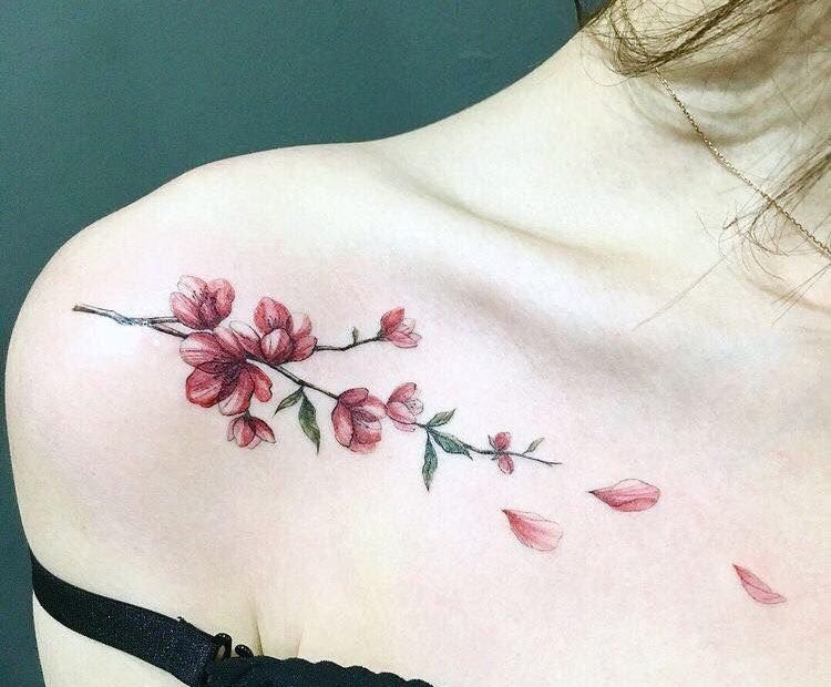 Hình Xăm Hoa Ở Xương Quai Xanh | Tatuajes Delicados Femeninos, Hermosos  Tatuajes, Tatuajes Florales
