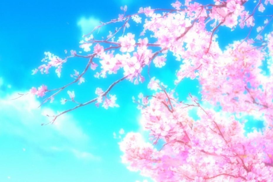 50 Hình Nền Hoa Anh Đào Đẹp Nhất Của Đất Nước Nhật Bản | Anime Cherry  Blossom, Cherry Blossom Wallpaper, Anime Scenery Wallpaper