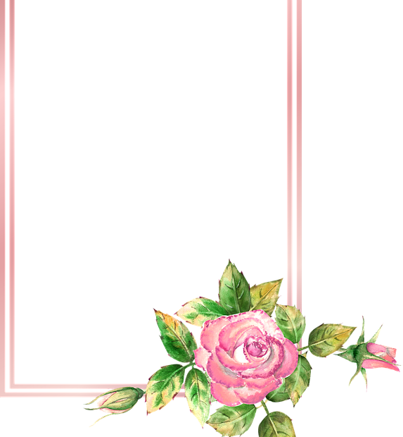 Khung Ranh Giới Hoa Hồng - Miễn Phí Vector Hình Ảnh Trên Pixabay - Pixabay