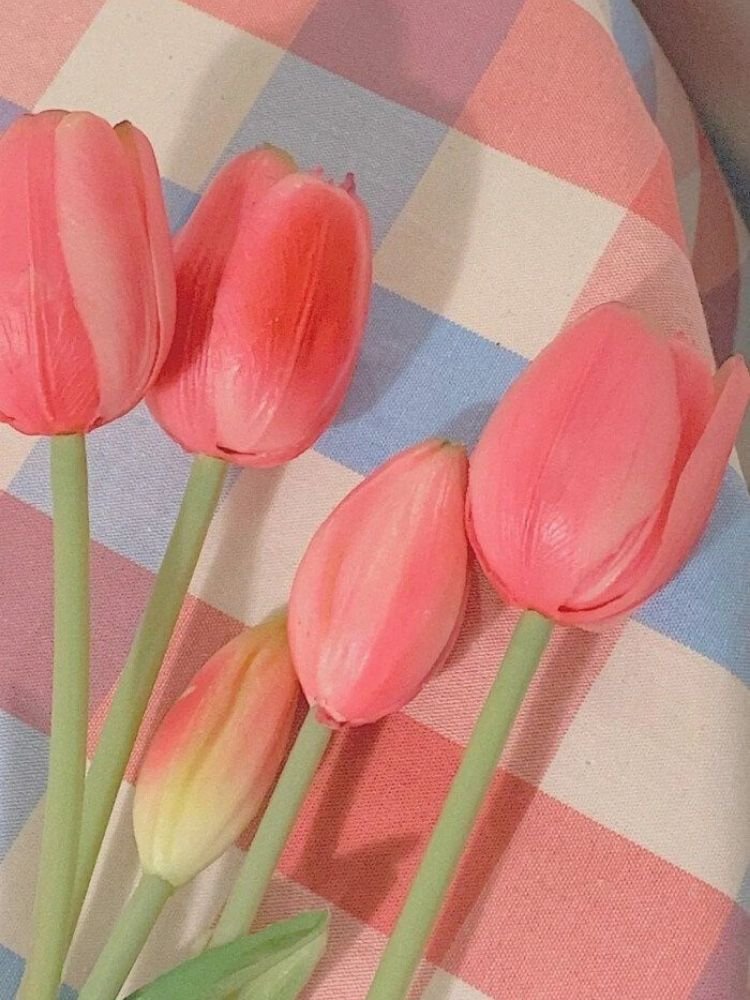 100+ hình nền hoa tulip Full HD 4K cực trang nhã thanh lịch 100+ Hình Nền Hoa Tulip Full Hd 4K Cực Trang Nhã Thanh Lịch