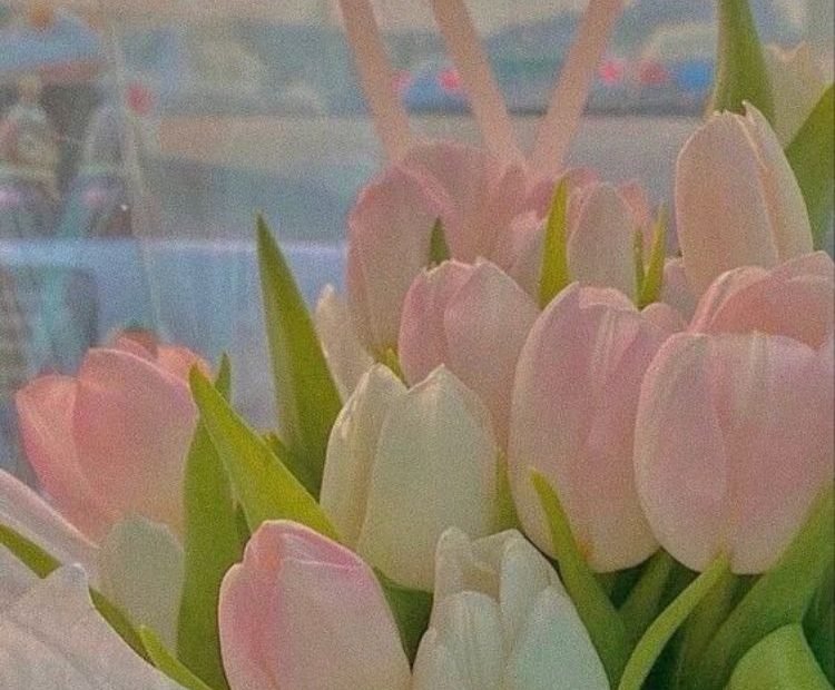 100+ Hình Nền Hoa Tulip Full Hd 4K Cực Trang Nhã Thanh Lịch