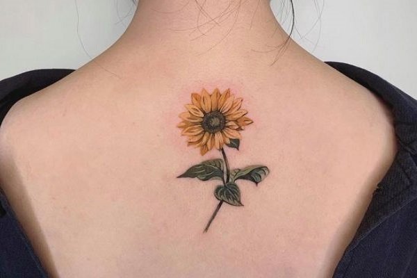 Hình Xăm Hoa Hướng Dương Có Ý Nghĩa Gì? Mẫu Hình Xăm Hoa Hướng Dương Mini  Nhỏ Đẹp Nhất
