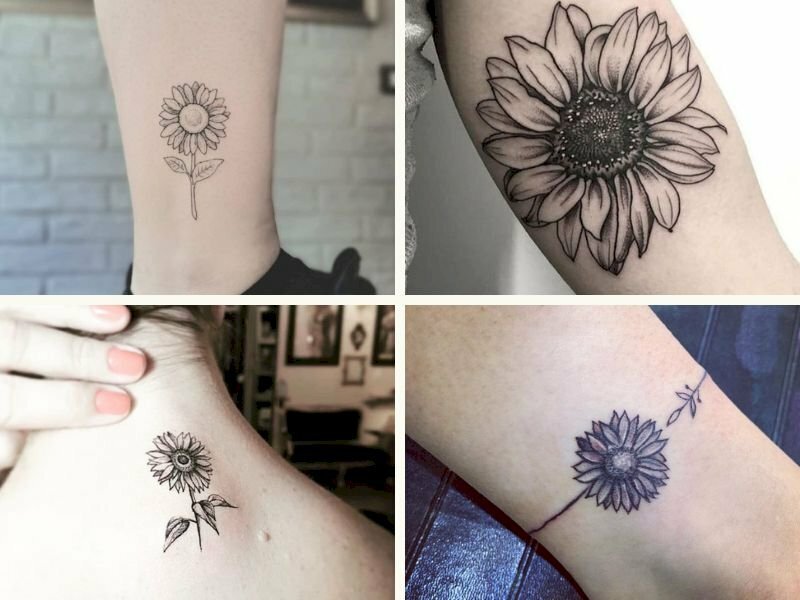 101 Hình Xăm Hoa Hướng Dương Trắng Đen Đẹp Nhất, Tải Miễn Phí