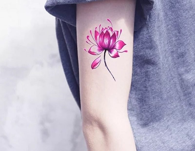 99+ Hình Xăm Hoa Sen Cho Nam, Nữ: Đẹp, Đơn Giản, Ý Nghĩa