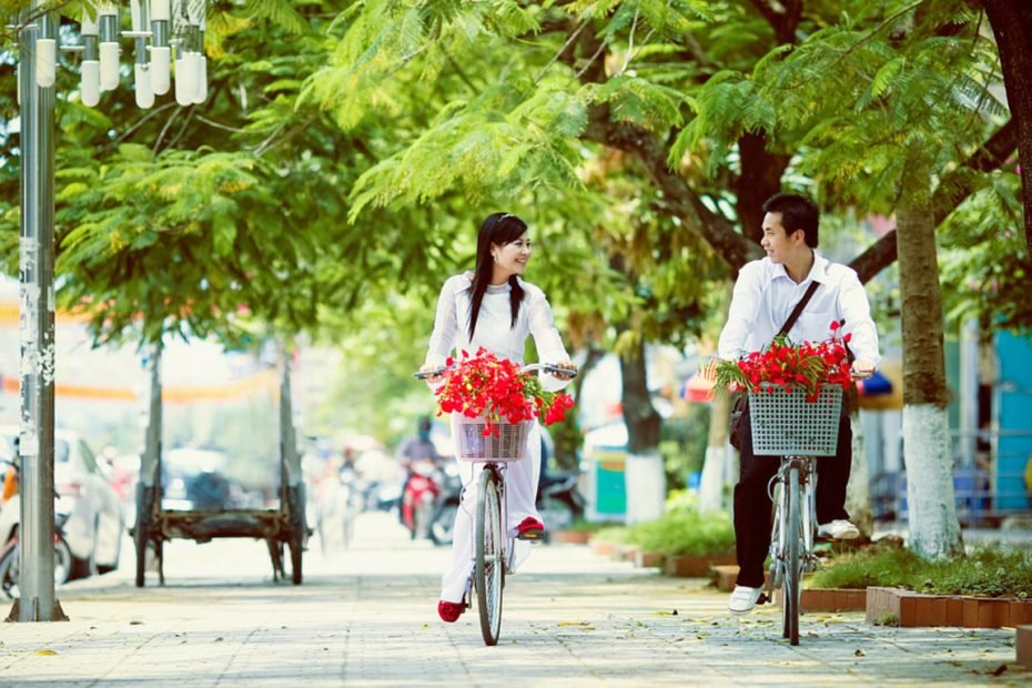Hoa Phượng – Biểu Tượng Của Tuổi Học Trò Thơ Ngây