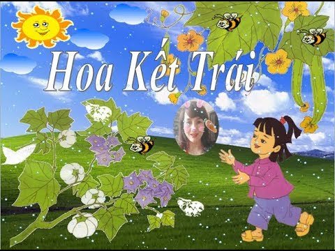 Bài Thơ Hoa Kết Trái - Hiệu Trưởng Kể Chuyện - Hiệu Trưởng Đọc Thơ - Youtube