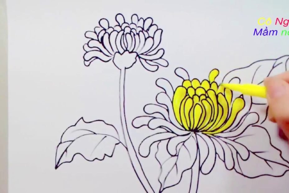 Vẽ Hoa Cúc Đơn Giản- Cách Vẽ Hoa Cúc - Drawing A Daisy - Youtube