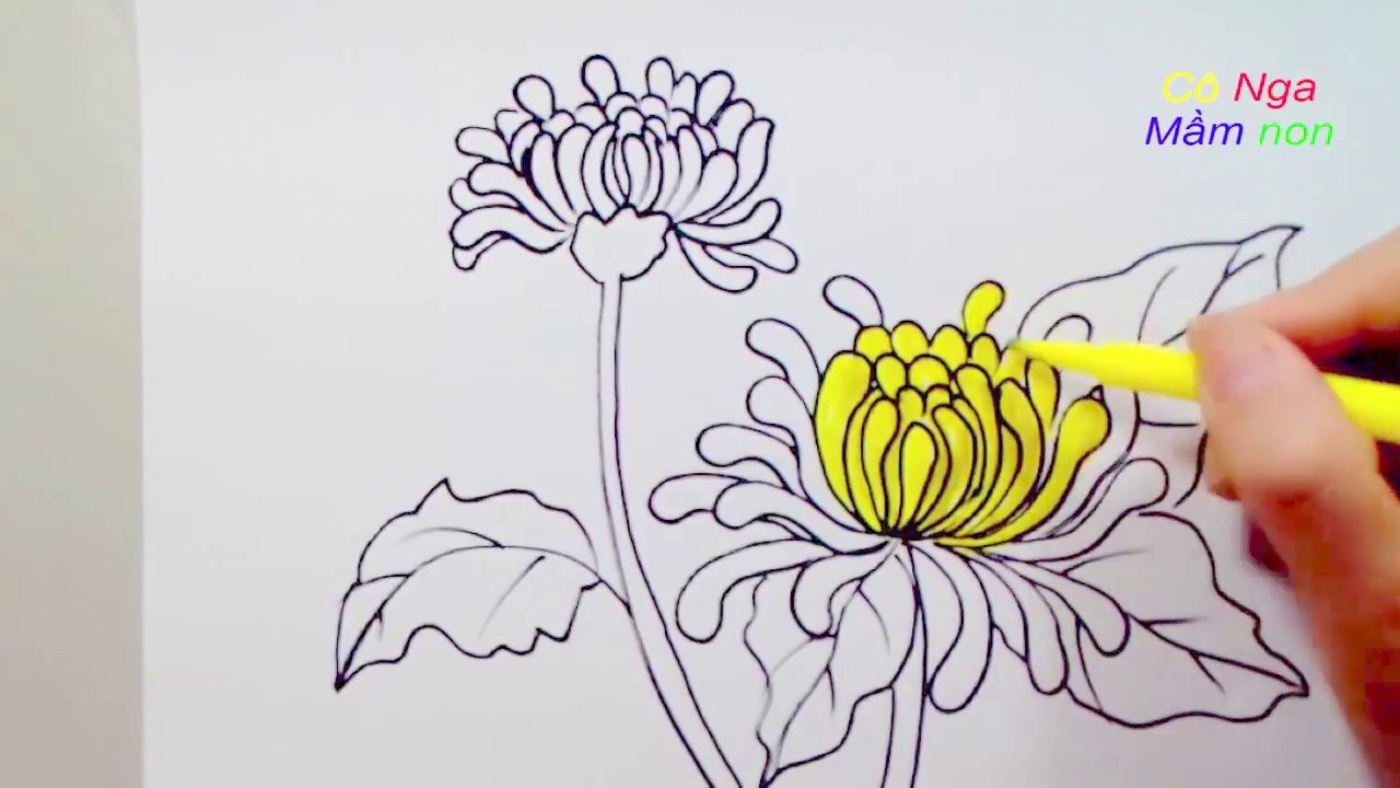 Vẽ hoa cúc đơn giản- Cách vẽ hoa cúc - Drawing a Daisy - YouTube Vẽ Hoa Cúc Đơn Giản- Cách Vẽ Hoa Cúc - Drawing A Daisy - Youtube