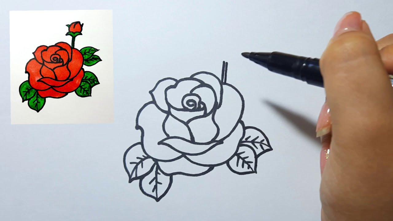 Cách Vẽ Hoa Hồng (P3) Rất Đơn Giản Ii Ong Mật Mỹ Thuật - Youtube