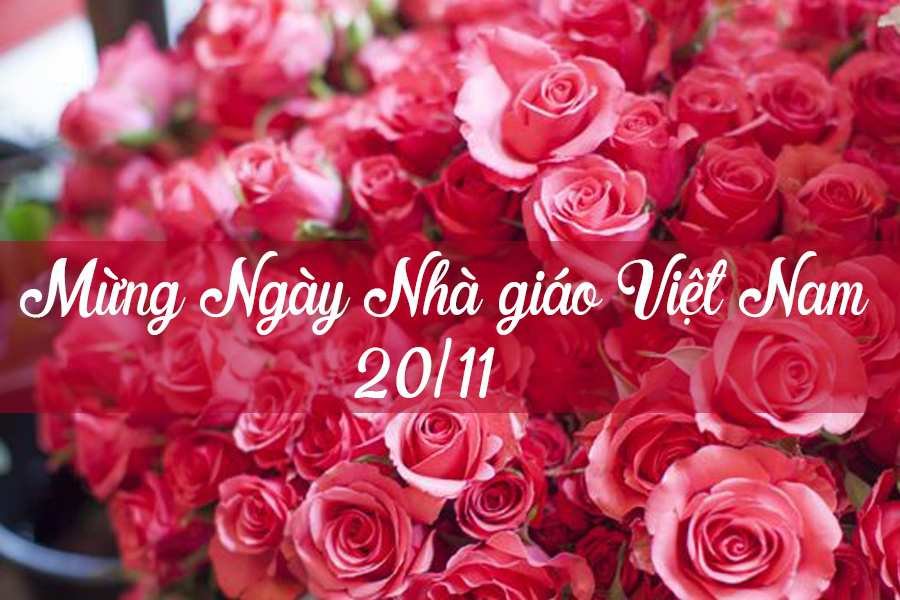 Top 5 Mẫu Hoa 20/11 Độc Đáo Và Ý Nghĩa Nhất Từ Hoa Hồng
