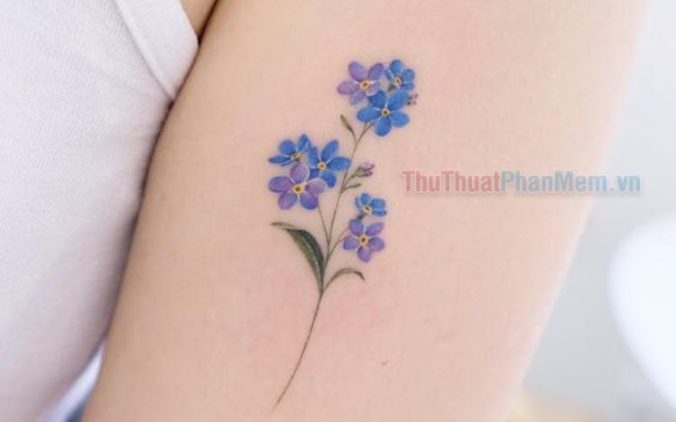 Tổng Hợp Hình Xăm Hoa Lưu Ly Đẹp Nhất 2023