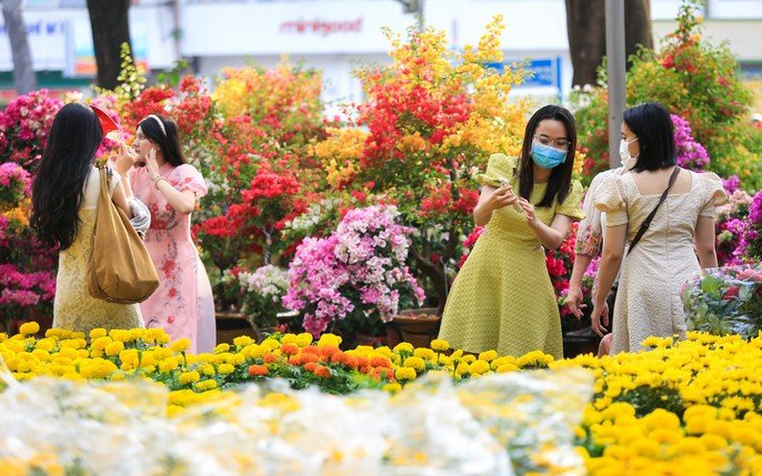 Chợ Hoa Tết : Tin Tức, Hình Ảnh, Video, Bình Luận