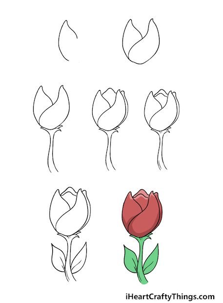 Hướng Dẫn Cách Vẽ Hoa Tulip Đơn Giản Với 7 Bước Cơ Bản