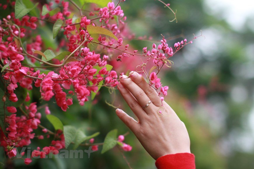 Photo]